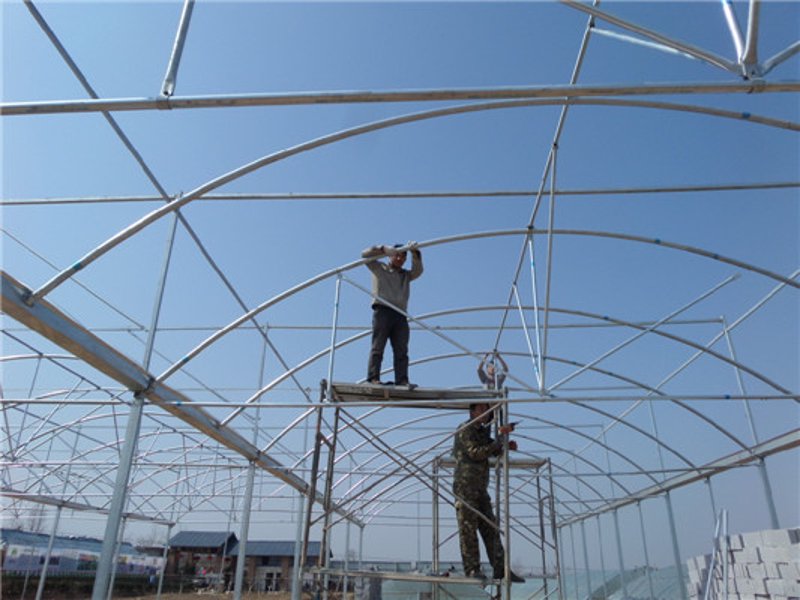 无土栽培:一种新型种植方式的探索与实践