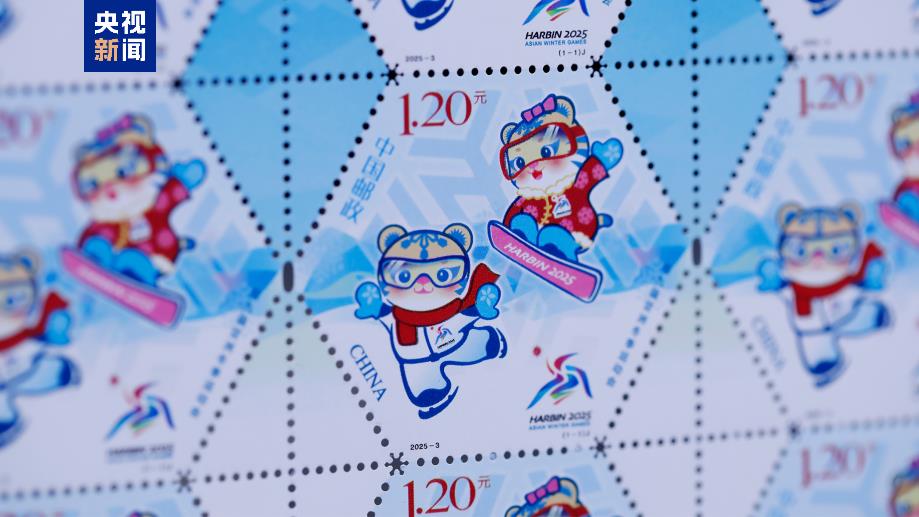 第九届亚洲冬季运动会纪念邮票：六边形构图、